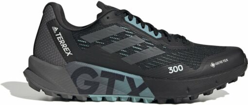 TERREX AGRAVIC FLOW 2 GTX W CBLACK/GRESIX/MINTON