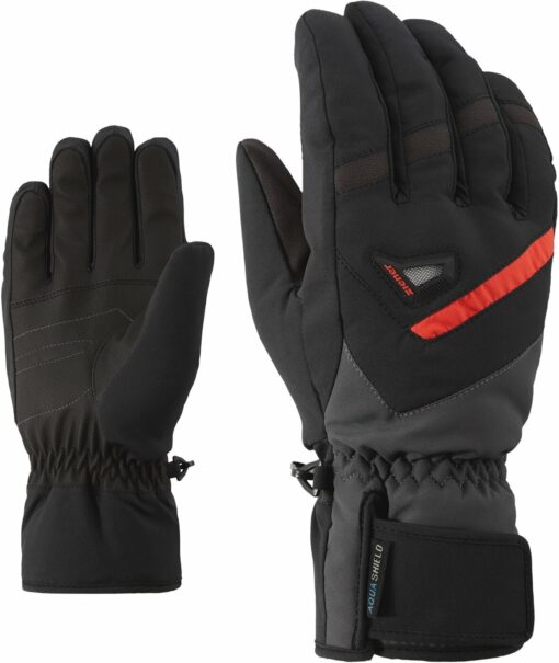 GARY AS(R) glove ski alpine BLACK/GRAPHITE